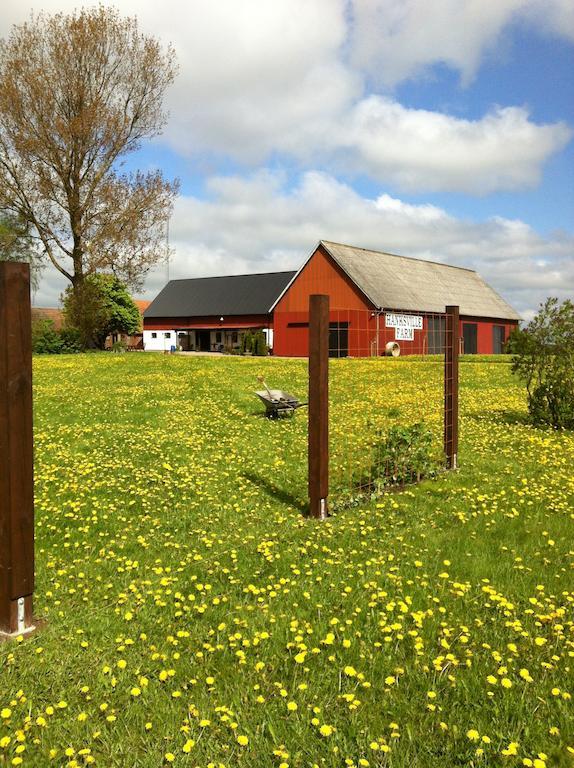 Hanksville Farm 스발로브 객실 사진